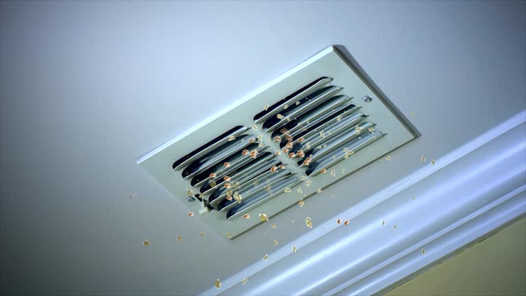 HVAC System Cleaning in AR