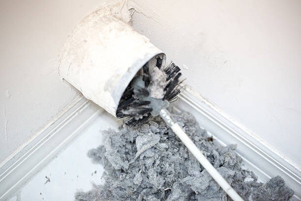Best Dryer Vent Cleaning Services  in Calico Rock, AR